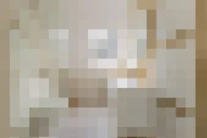 Waalsteen 67 Houten thumbnail 28