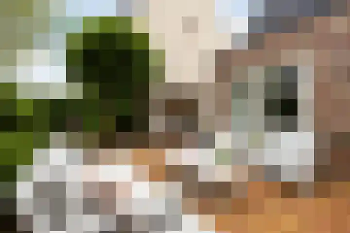 Waalsteen 67 Houten thumbnail 34