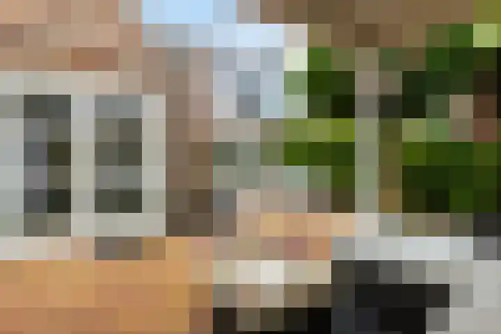 Waalsteen 67 Houten thumbnail 36