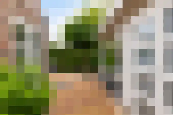 Waalsteen 67 Houten thumbnail 37