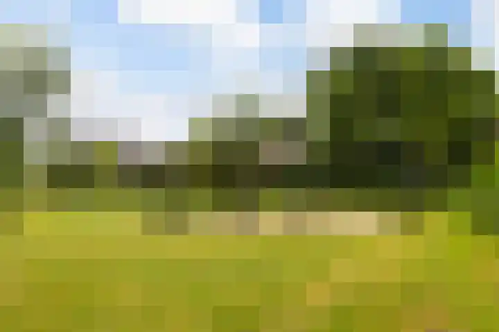 Waalsteen 67 Houten thumbnail 39