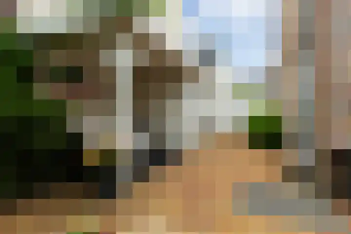 Waalsteen 67 Houten thumbnail 4