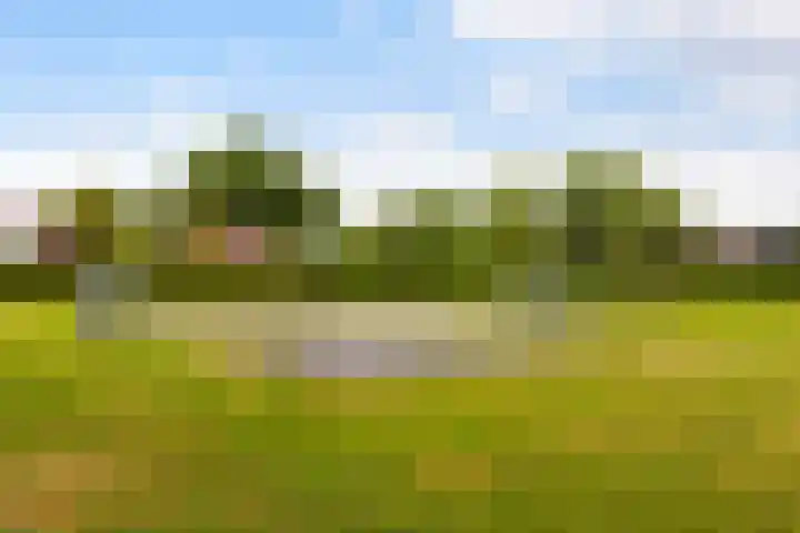 Waalsteen 67 Houten thumbnail 40