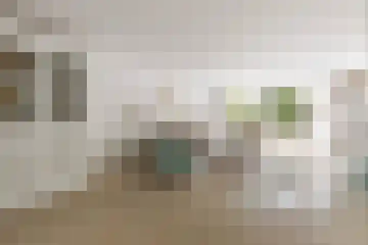 Waalsteen 67 Houten thumbnail 6