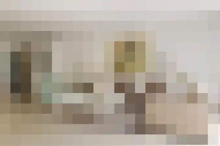 Waalsteen 67 Houten thumbnail 7