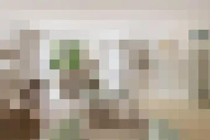 Waalsteen 67 Houten thumbnail 8