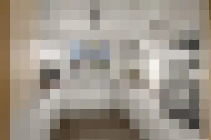Waalsteen 7 Houten thumbnail 10