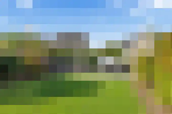 Waalsteen 7 Houten thumbnail 13