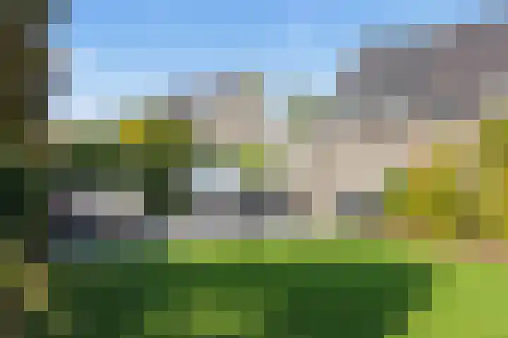 Waalsteen 7 Houten thumbnail 14