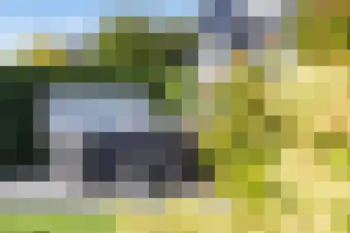 Waalsteen 7 Houten thumbnail 15