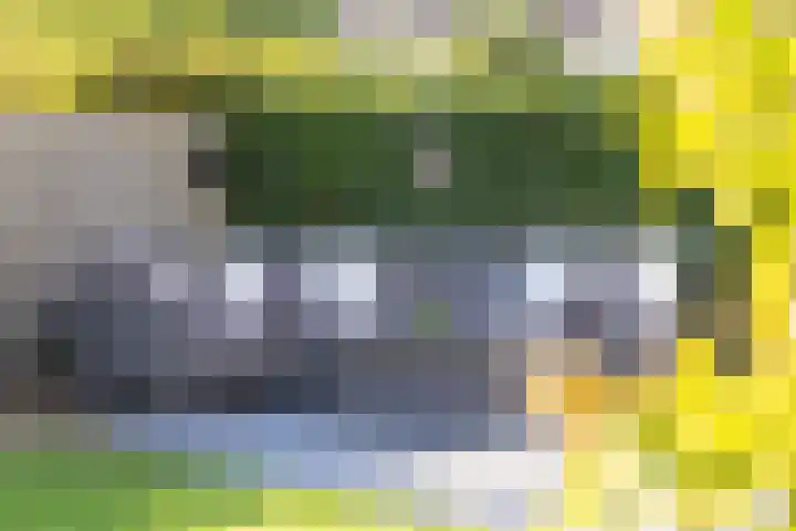 Waalsteen 7 Houten thumbnail 16