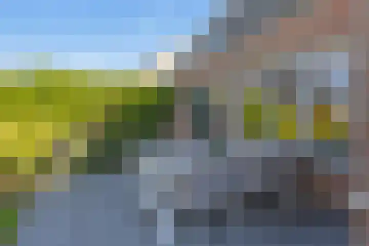 Waalsteen 7 Houten thumbnail 17