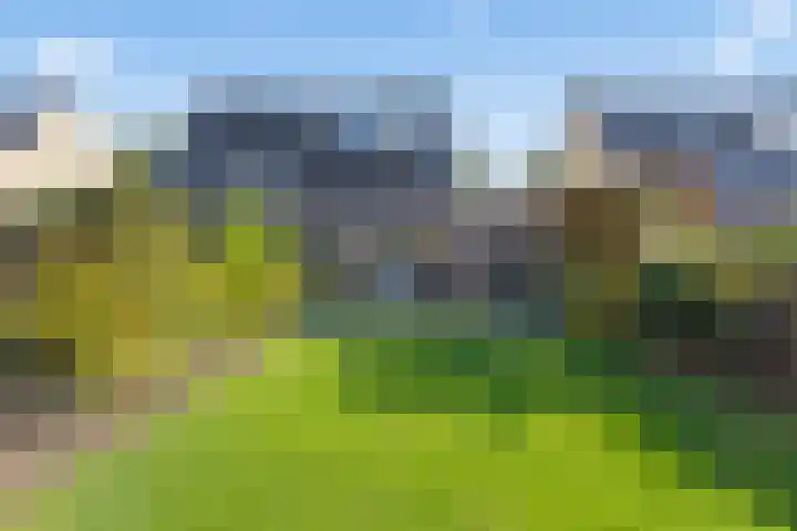 Waalsteen 7 Houten thumbnail 18