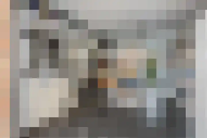 Waalsteen 7 Houten thumbnail 19