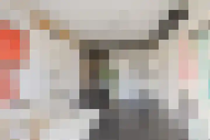 Waalsteen 7 Houten thumbnail 20
