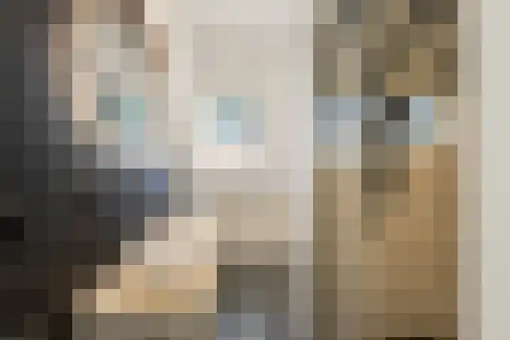 Waalsteen 7 Houten thumbnail 26