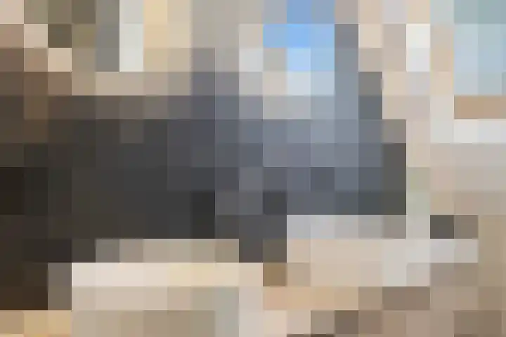 Waalsteen 7 Houten thumbnail 28