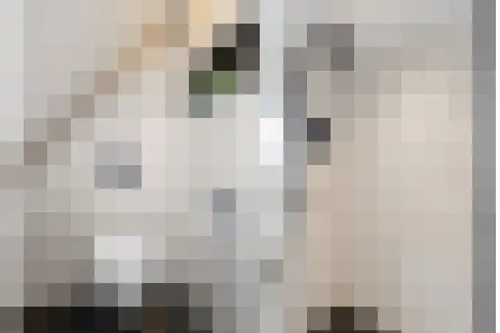 Waalsteen 7 Houten thumbnail 29