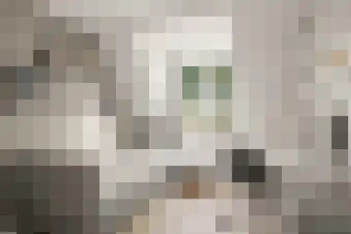 Waalsteen 7 Houten thumbnail 30