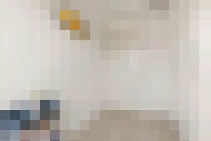 Waalsteen 7 Houten thumbnail 33