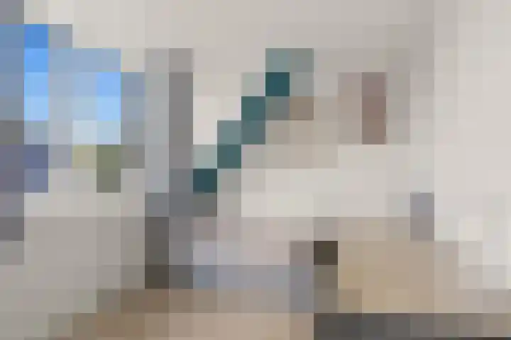 Waalsteen 7 Houten thumbnail 35