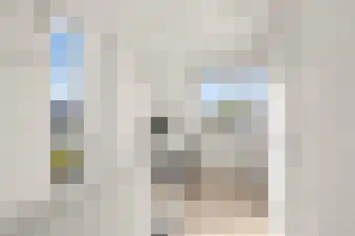 Waalsteen 7 Houten thumbnail 37