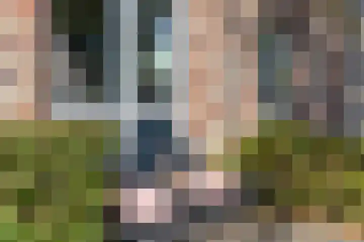 Waalsteen 7 Houten thumbnail 43