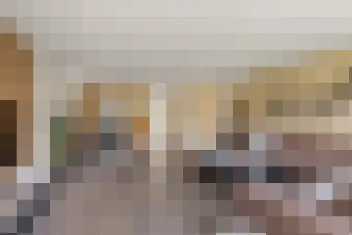 Waalsteen 7 Houten thumbnail 7