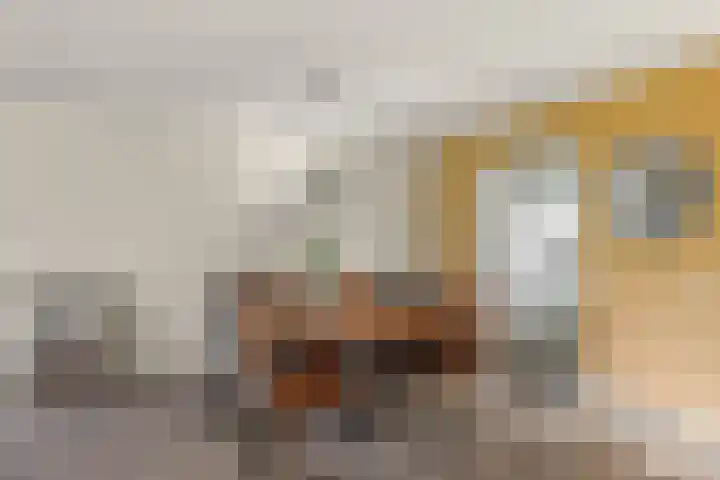 Waalsteen 7 Houten thumbnail 9