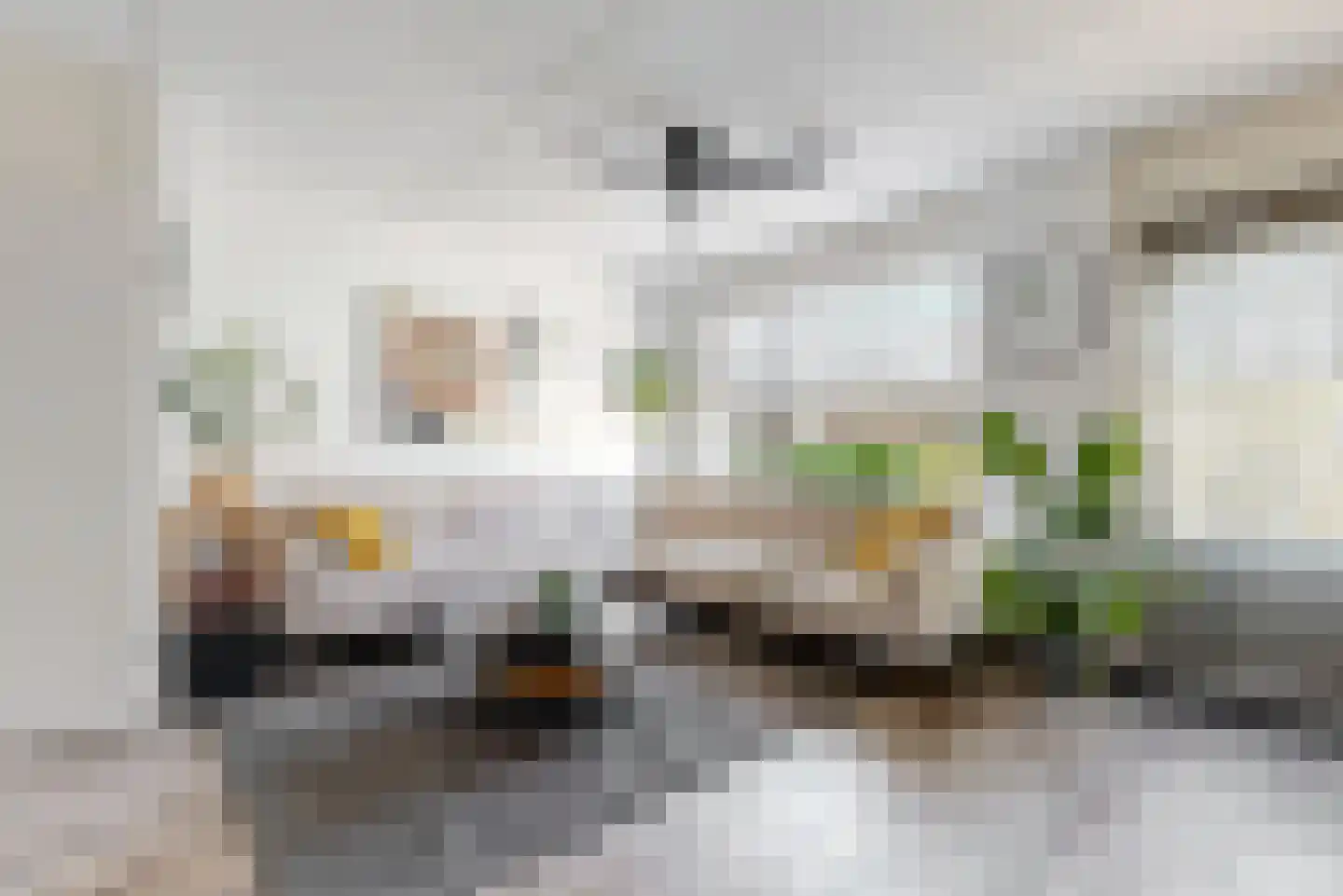Waalstraat 1 B Alphen aan den Rijn thumbnail 16