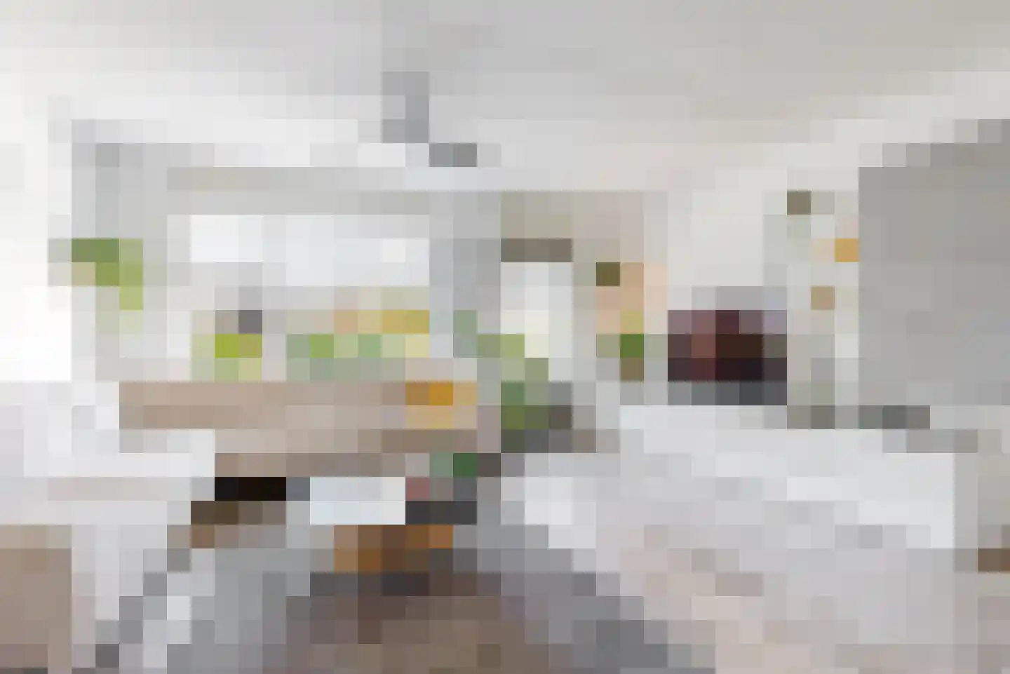 Waalstraat 1 B Alphen aan den Rijn thumbnail 5