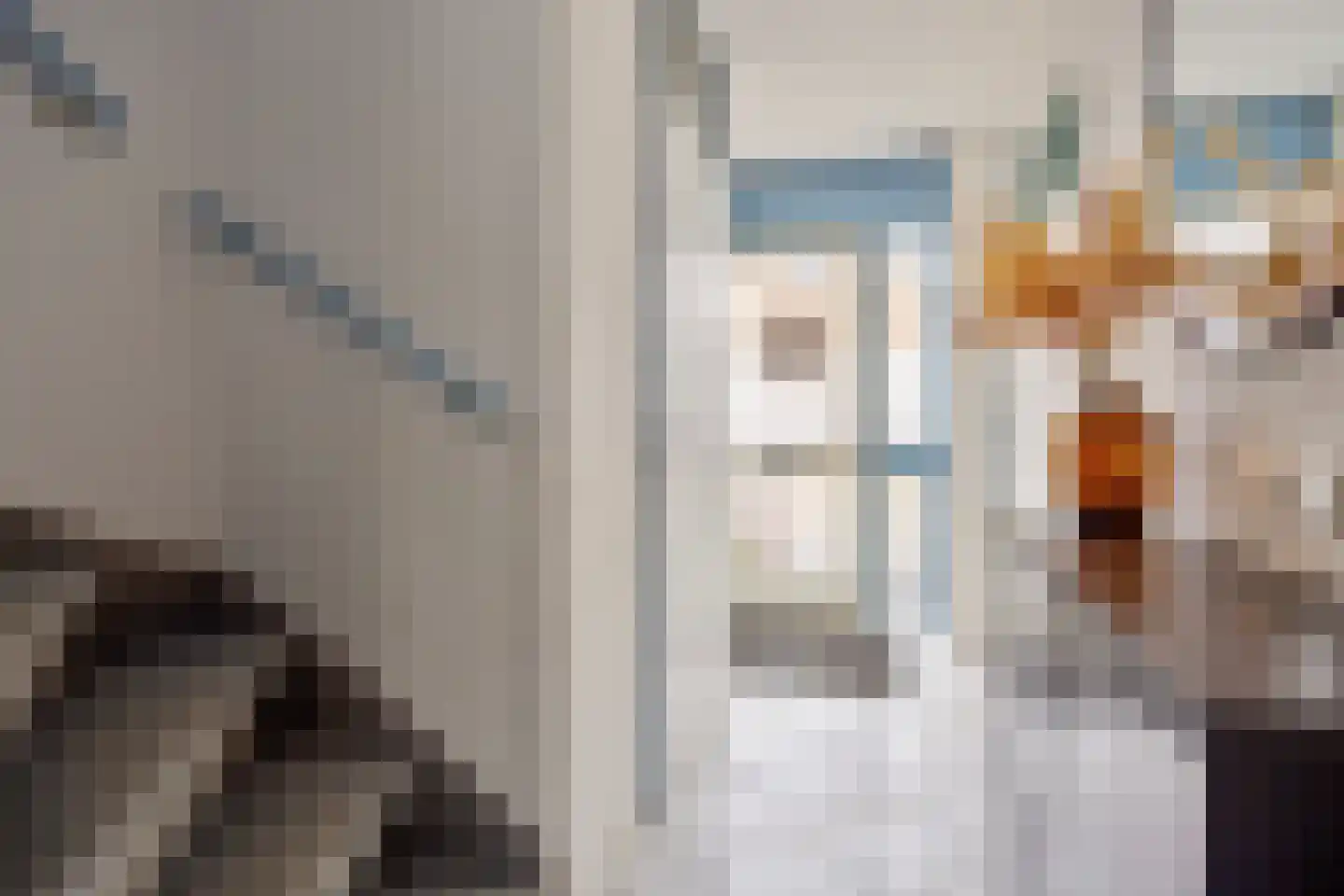 Waalstraat 1 E Alphen aan den Rijn thumbnail 4
