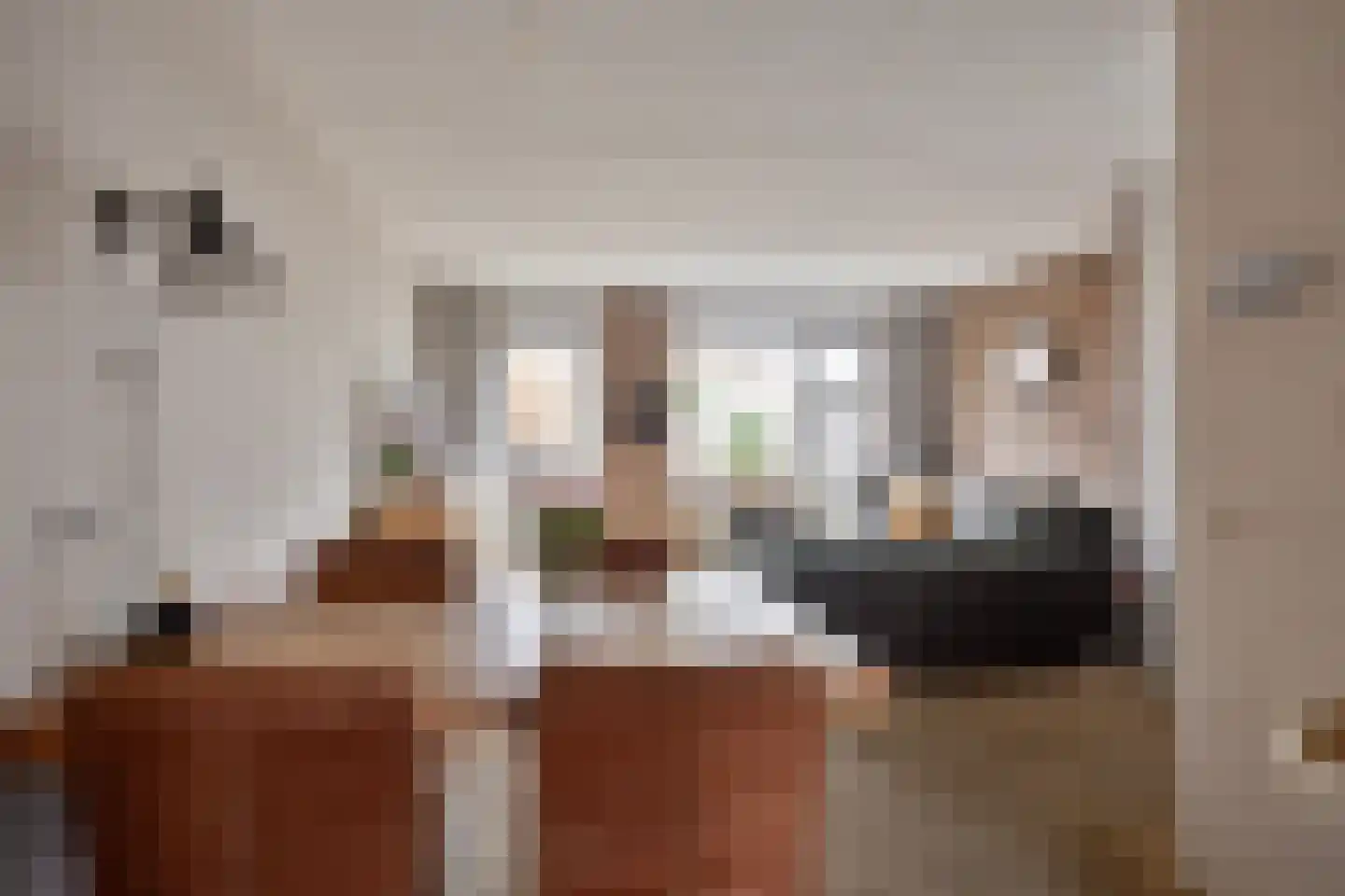 Waalstraat 1 E Alphen aan den Rijn thumbnail 8