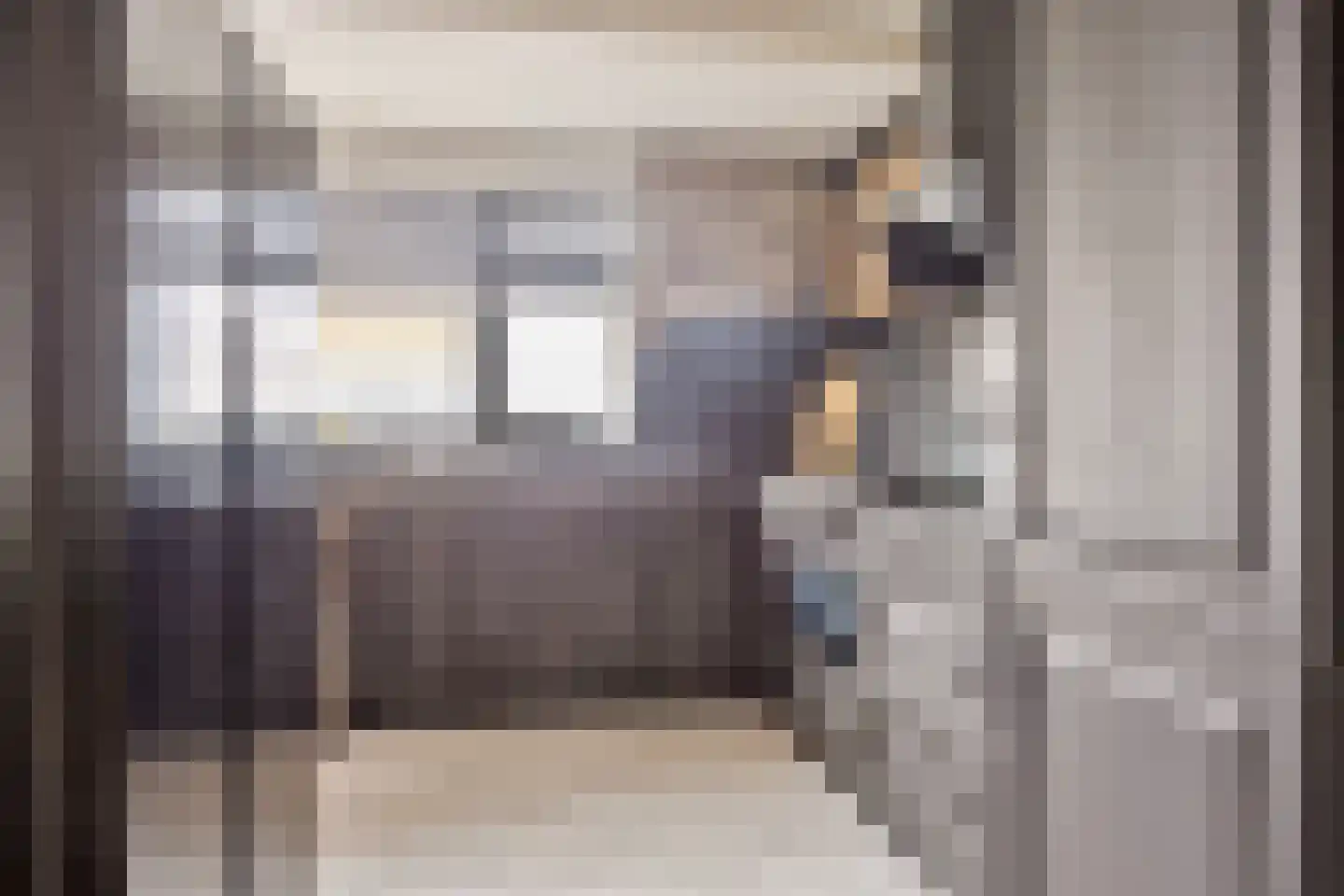 Waalstraat 1 E Alphen aan den Rijn thumbnail 9