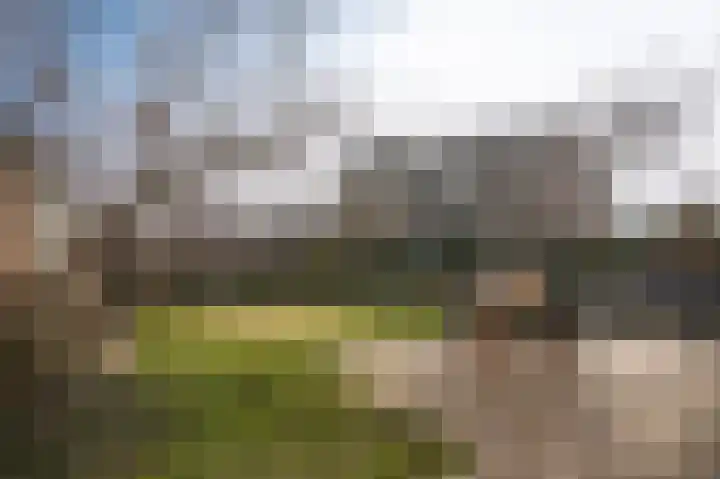 Waalstraat 1 Geldermalsen thumbnail 32