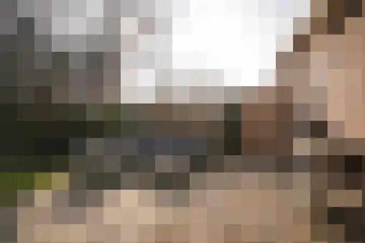 Waalstraat 1 Geldermalsen thumbnail 33