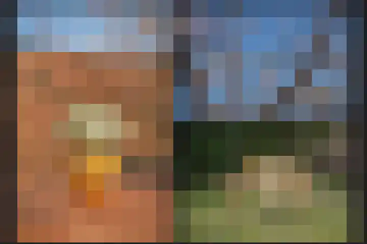 Waalstraat 1 Geldermalsen thumbnail 37