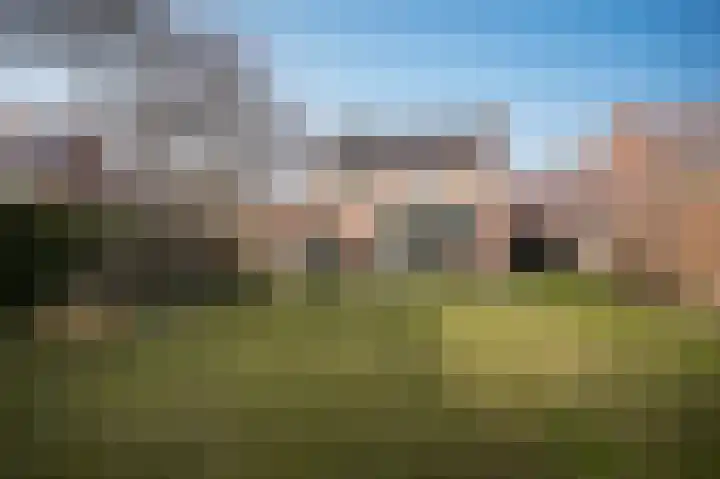 Waalstraat 1 Geldermalsen thumbnail 38