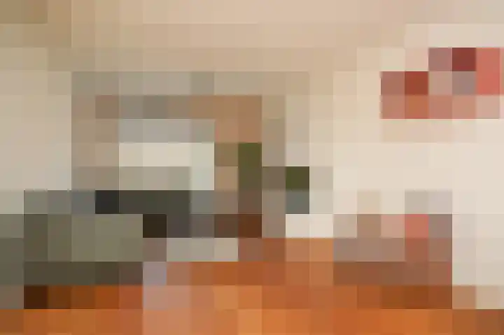 Waalstraat 1 Geldermalsen thumbnail 4