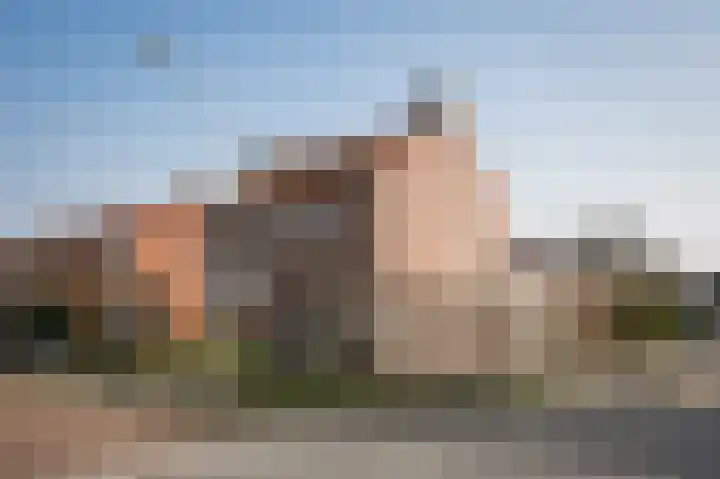 Waalstraat 1 Geldermalsen thumbnail 40