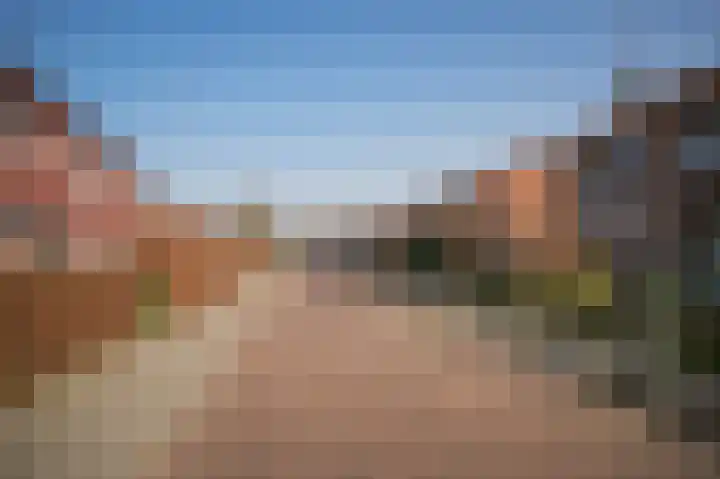 Waalstraat 1 Geldermalsen thumbnail 43