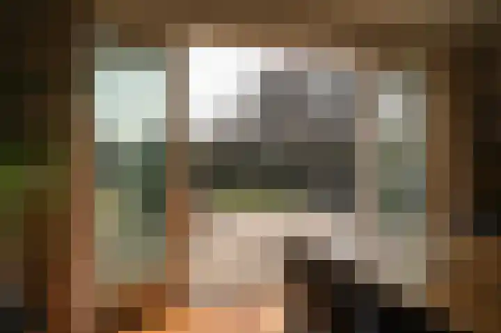 Waalstraat 1 Geldermalsen thumbnail 9