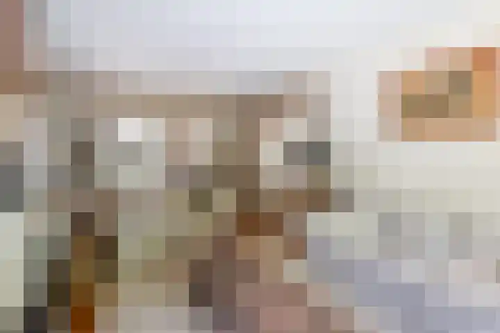 Waalstraat 1 Rhoon thumbnail 12