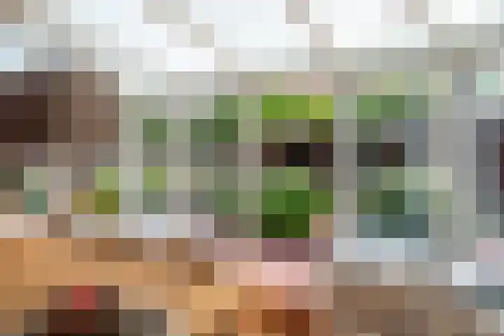 Waalstraat 1 Rhoon thumbnail 14