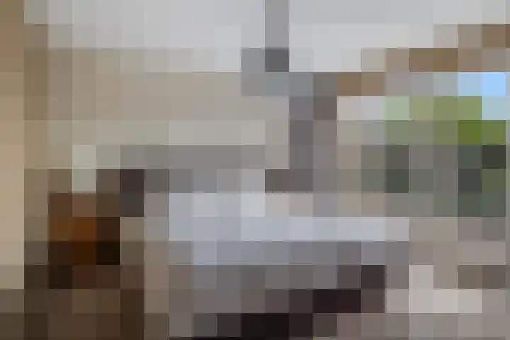 Waalstraat 1 Rhoon thumbnail 21