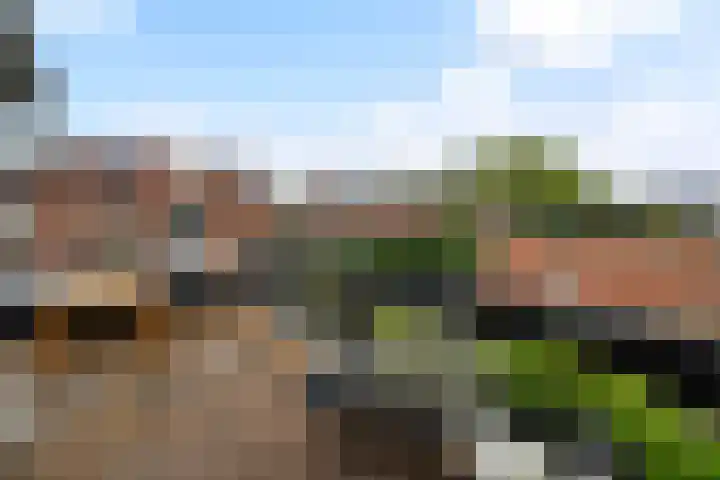 Waalstraat 1 Rhoon thumbnail 23