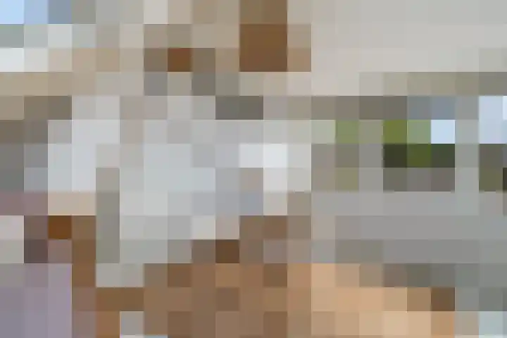 Waalstraat 1 Rhoon thumbnail 27