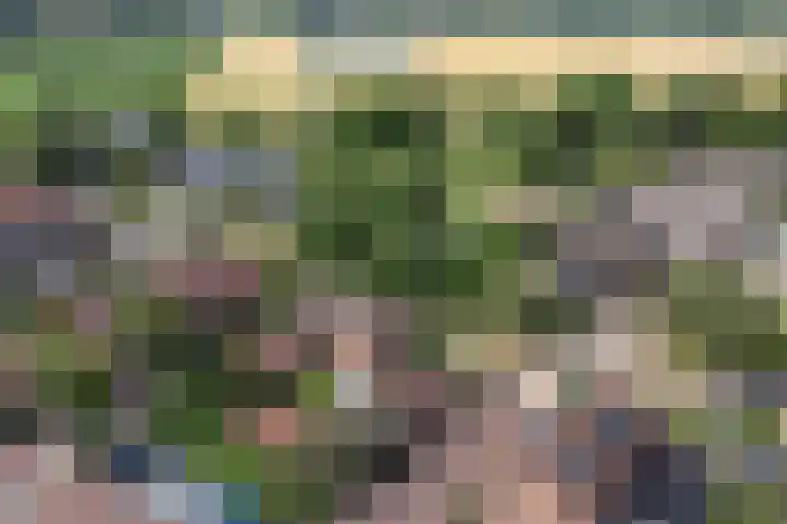 Waalstraat 1 Rhoon thumbnail 29
