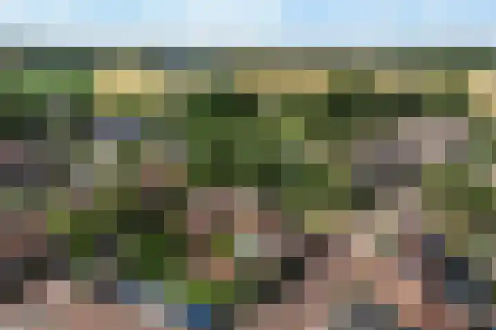 Waalstraat 1 Rhoon thumbnail 33