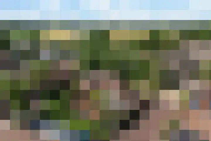 Waalstraat 1 Rhoon thumbnail 34